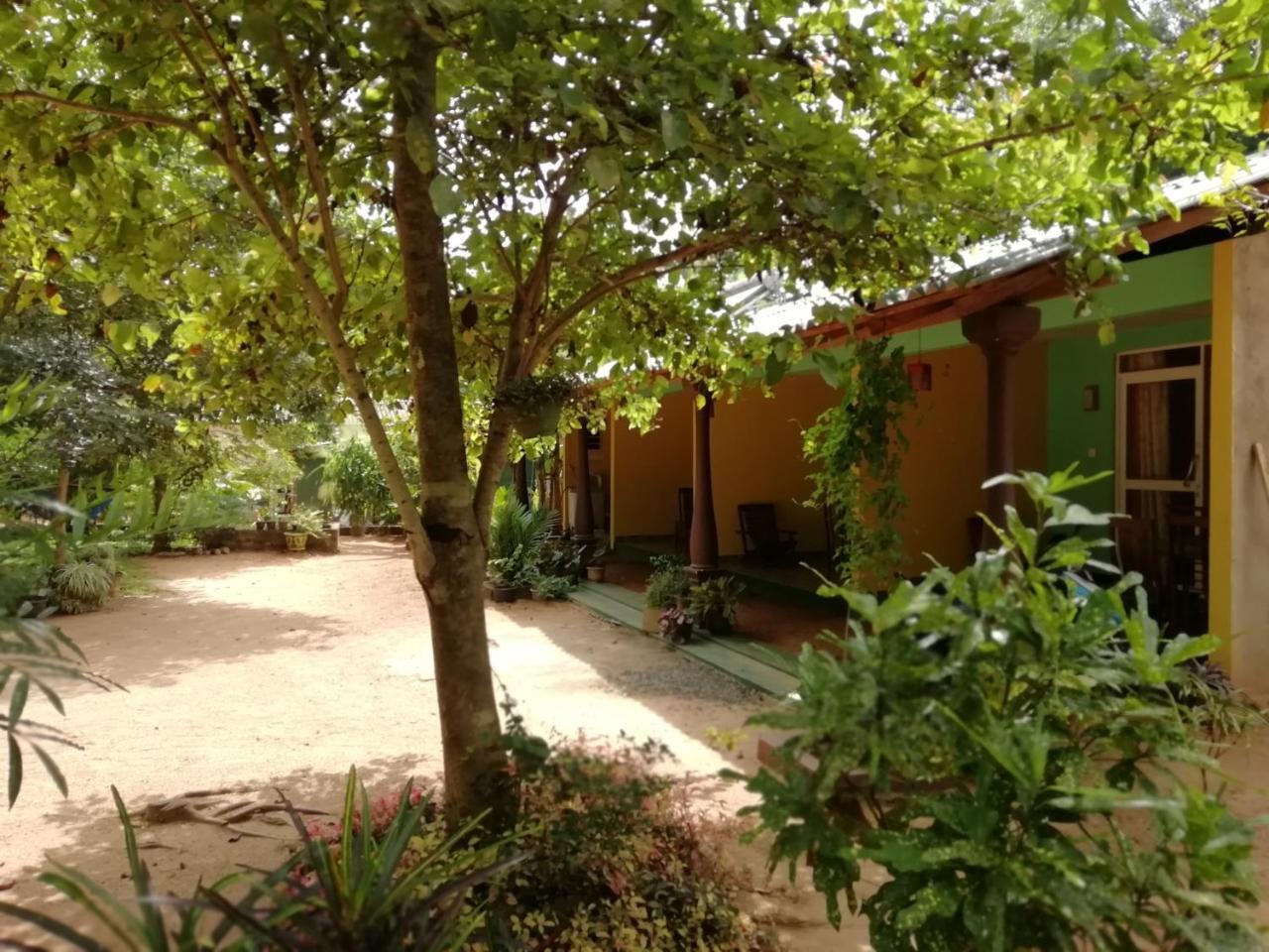Sigiri La Veranda Lodge Kibissa Exterior photo